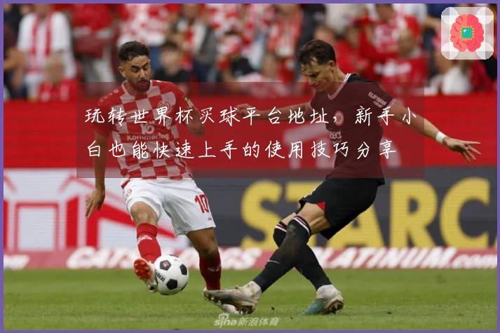 玩转世界杯买球平台地址，新手小白也能快速上手的使用技巧分享