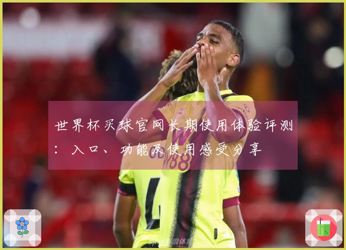 世界杯买球官网长期使用体验评测：入口、功能及使用感受分享