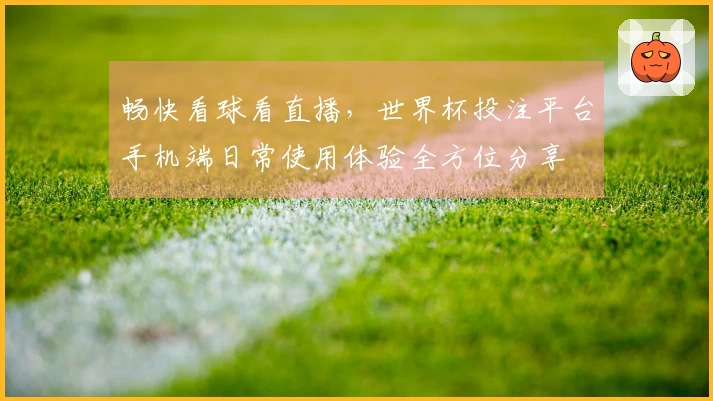 畅快看球看直播，世界杯投注平台手机端日常使用体验全方位分享