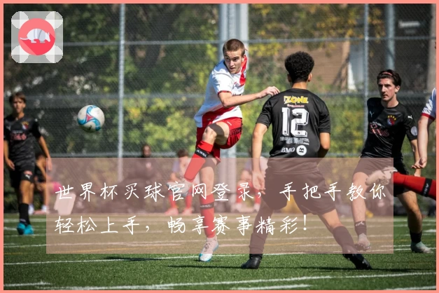 世界杯买球官网登录，手把手教你轻松上手，畅享赛事精彩！