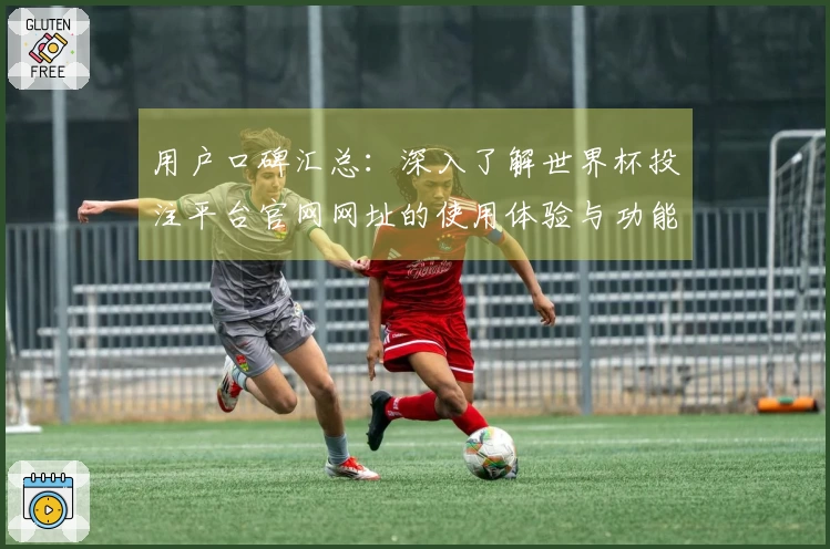 用户口碑汇总：深入了解世界杯投注平台官网网址的使用体验与功能特色